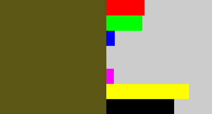 Hex color #5c5614 - greenish brown
