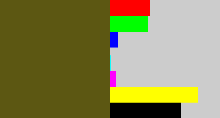 Hex color #5c5712 - greenish brown