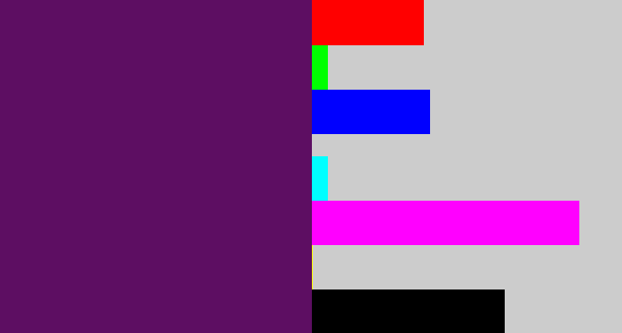 Hex color #5d0e62 - grape purple