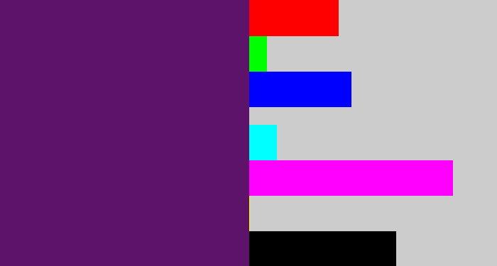 Hex color #5d1369 - grape purple