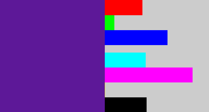 Hex color #5d1898 - purple
