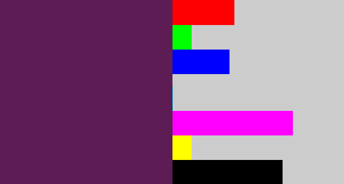 Hex color #5d1c53 - grape purple