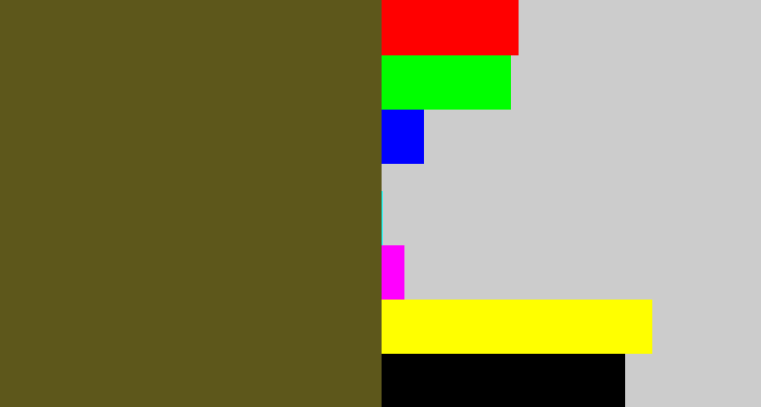 Hex color #5d571b - greenish brown