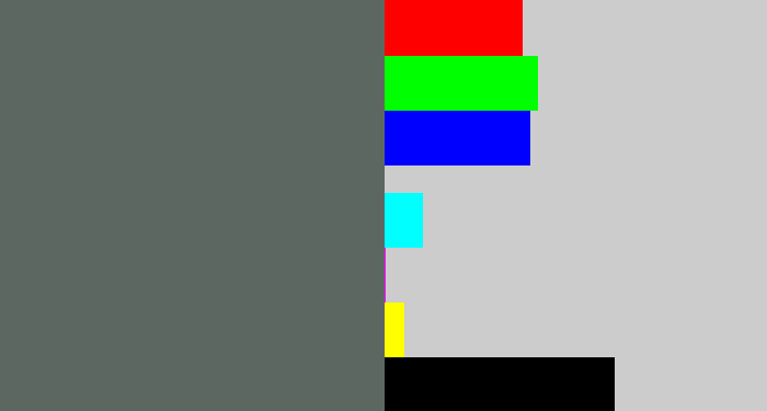 Hex color #5d6762 - slate grey