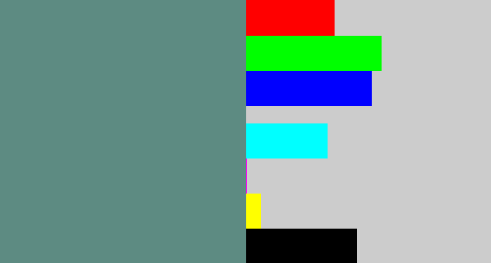 Hex color #5d8b82 - grey teal