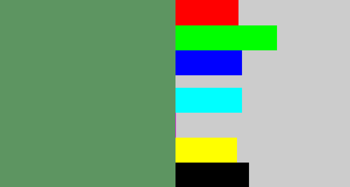Hex color #5d9561 - slate green