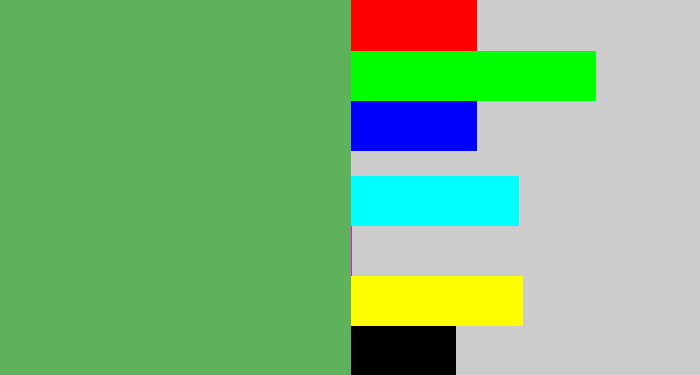 Hex color #5db25b - dark pastel green