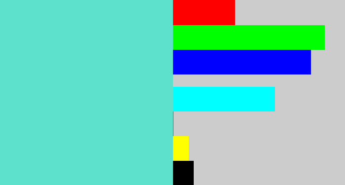 Hex color #5de1cc - light greenish blue