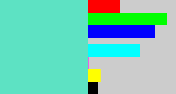 Hex color #5de2c3 - light greenish blue