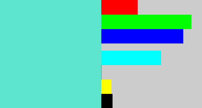 Hex color #5de4ce - light greenish blue