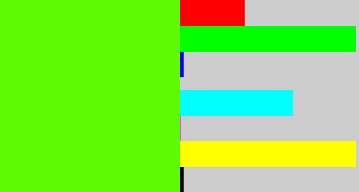 Hex color #5dfa04 - bright lime green