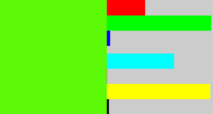 Hex color #5dfa07 - bright lime green