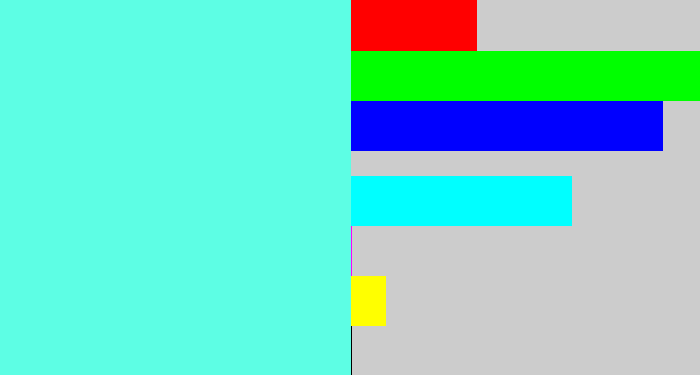 Hex color #5dfee4 - tiffany blue
