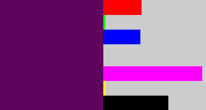 Hex color #5e045c - grape purple