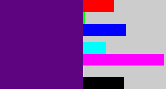 Hex color #5e0481 - royal purple