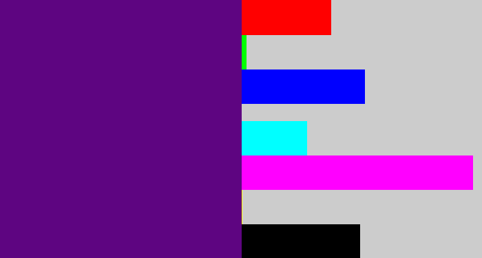 Hex color #5e0581 - royal purple