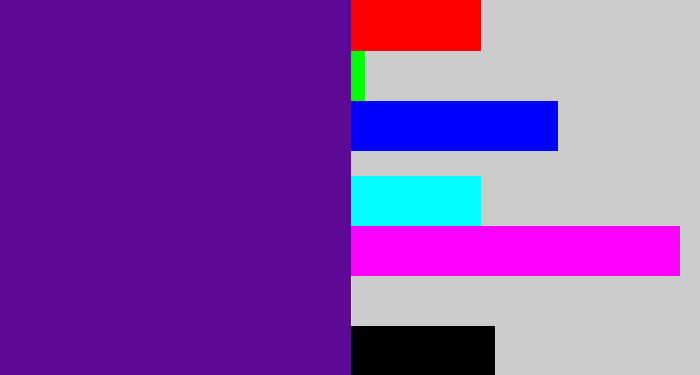 Hex color #5e0996 - purple