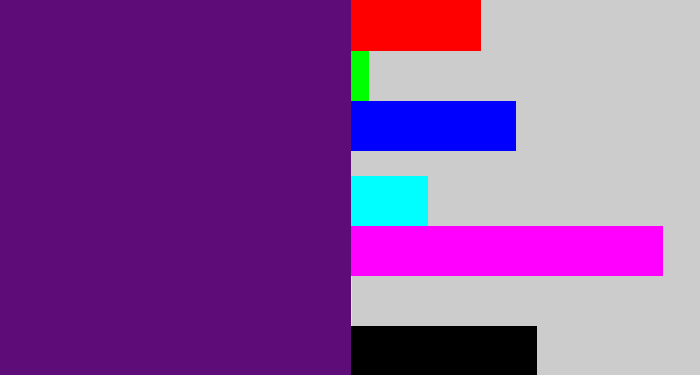 Hex color #5e0d78 - royal purple