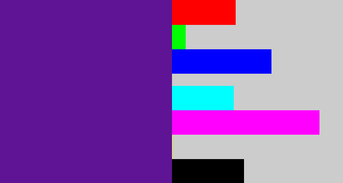 Hex color #5e1494 - purple