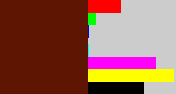 Hex color #5e1602 - reddy brown