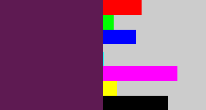 Hex color #5e1a52 - grape purple