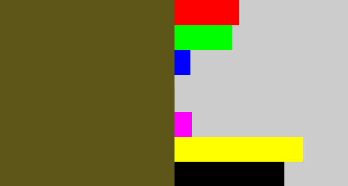 Hex color #5e5518 - greenish brown