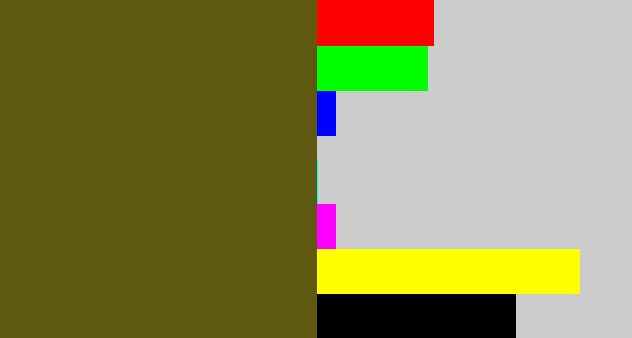 Hex color #5e5810 - greenish brown