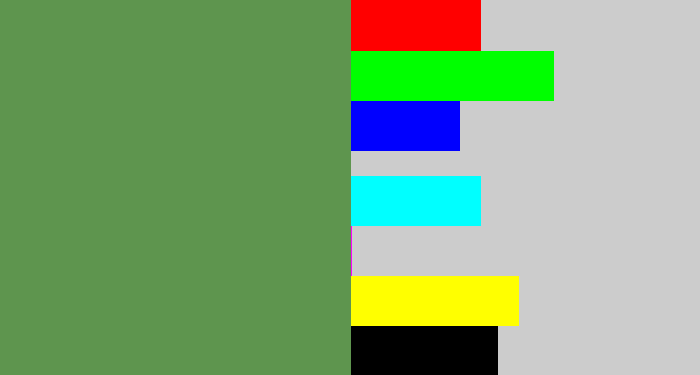 Hex color #5e954e - muted green