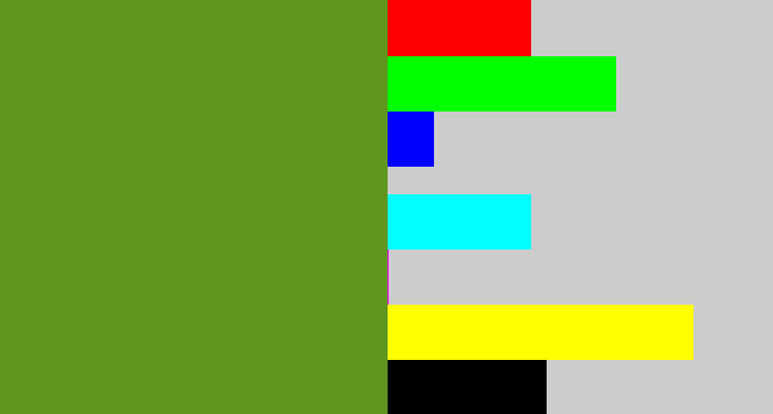 Hex color #5e961f - mossy green