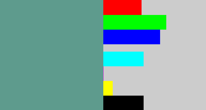 Hex color #5e9b8d - grey teal