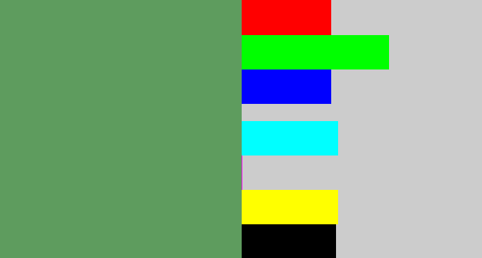 Hex color #5e9c5e - muted green