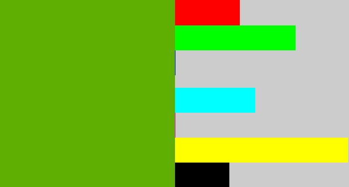 Hex color #5eaf01 - kermit green