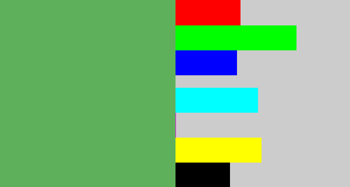 Hex color #5eb15a - dark pastel green