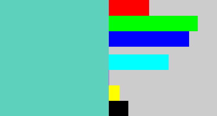 Hex color #5ed1bd - seafoam blue