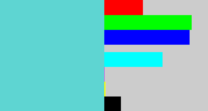 Hex color #5ed5d2 - seafoam blue