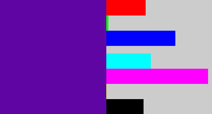 Hex color #5f06a5 - violet blue