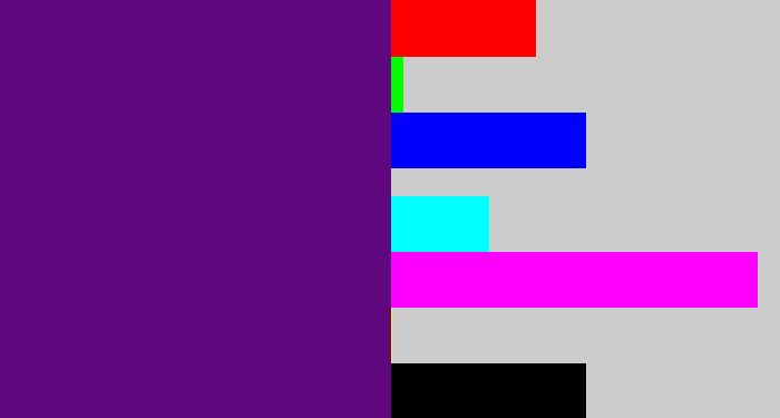 Hex color #5f077f - royal purple