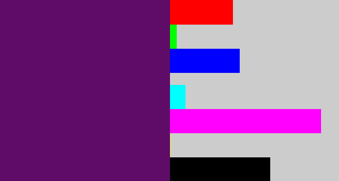 Hex color #5f0b68 - royal purple