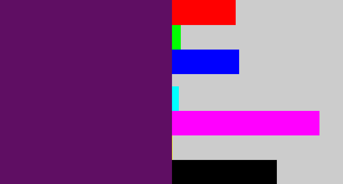 Hex color #5f0e63 - grape purple
