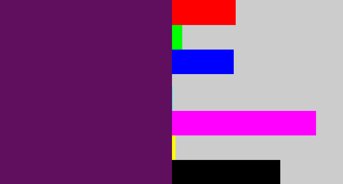 Hex color #5f0f5d - grape purple