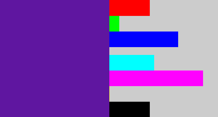 Hex color #5f16a0 - purple