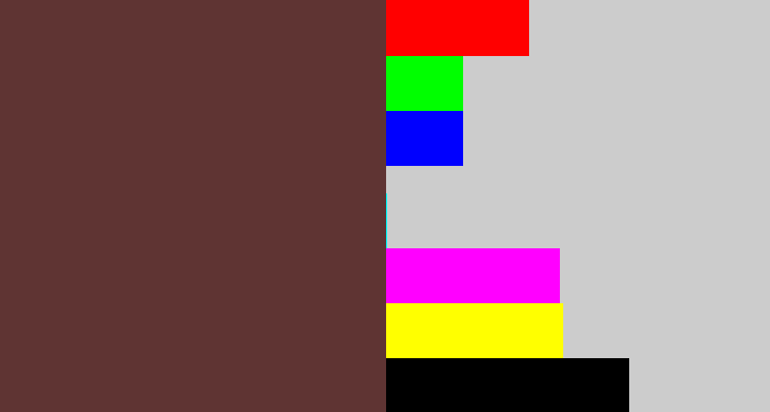 Hex color #5f3433 - purple brown