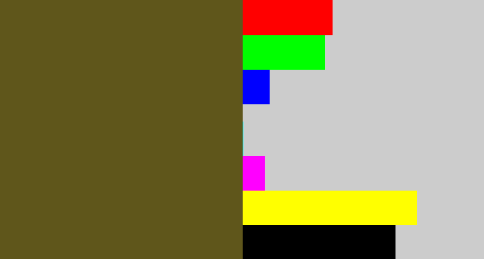 Hex color #5f561b - greenish brown