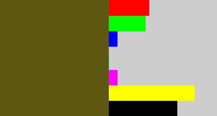 Hex color #5f5714 - greenish brown