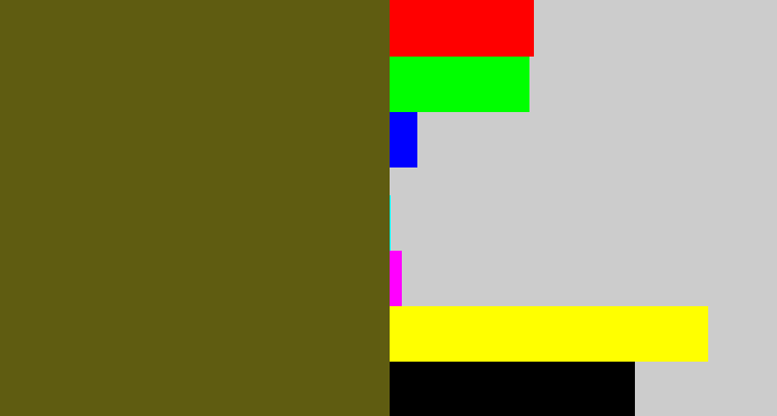 Hex color #5f5c11 - greenish brown