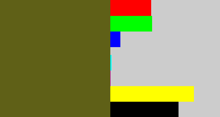 Hex color #5f6017 - greenish brown