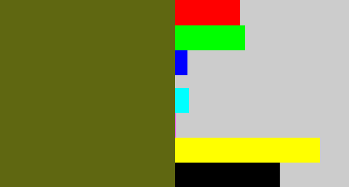 Hex color #5f6711 - greenish brown