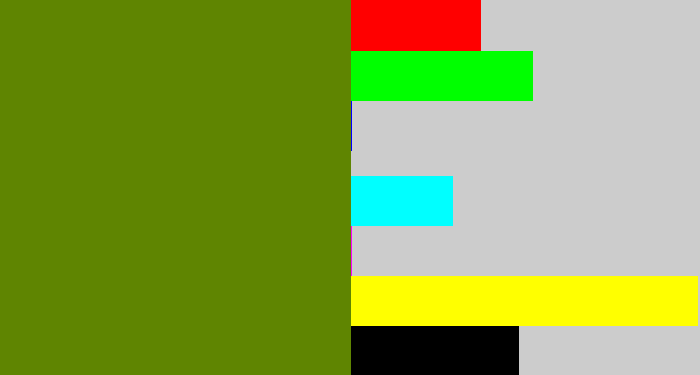 Hex color #5f8501 - olive green