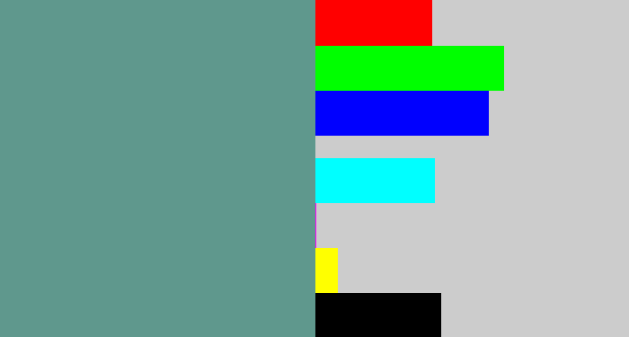Hex color #5f988d - grey teal