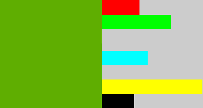 Hex color #5fae01 - kermit green